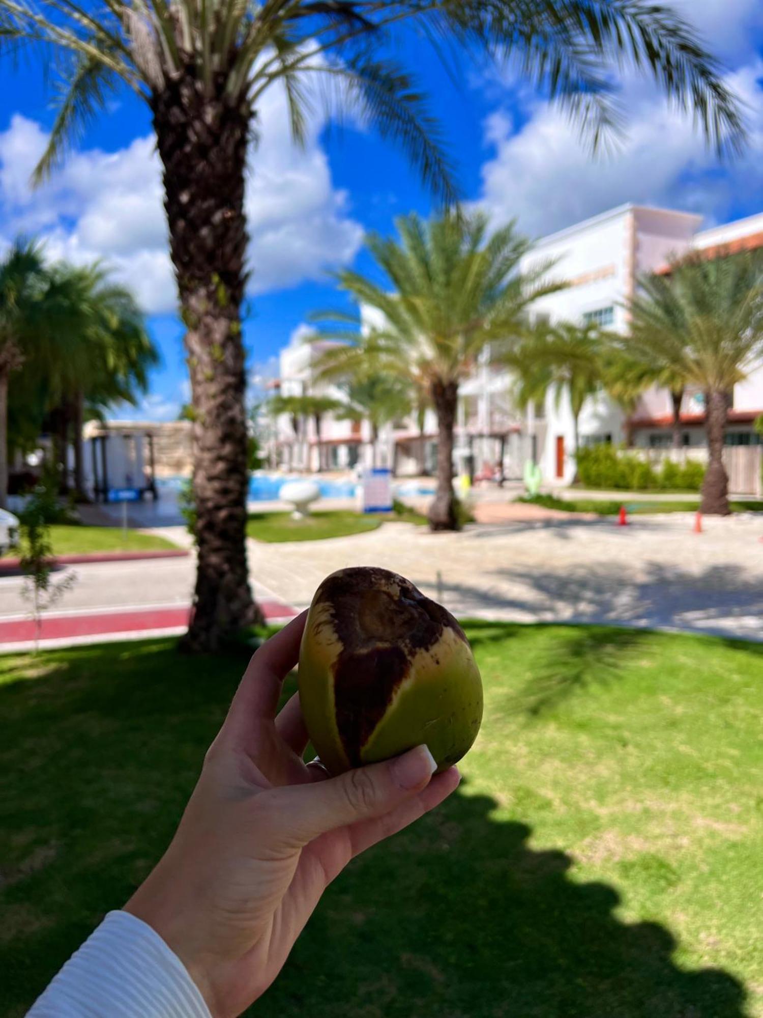 Tanama Hotel Punta Cana Luaran gambar